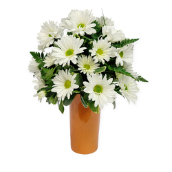 Dollop of Daisies from Flowers by Ramon of Lawton, OK
